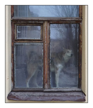 Картина в раме