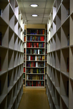 Тайный книжный мир